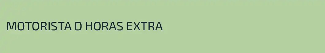 MOTORISTA D HORAS EXTRA